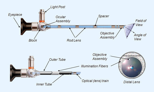 Scope-KSEAFig-2.jpg__PID:56180ac8-3707-4be3-af6b-0e79ecff81de